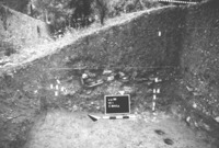 7 East baulk of the 1998 trench in Sector VII.1, showing the general sequence of upper cultivated soils, medieval debris piles, and lower garden levels (photo by J. Schryver).