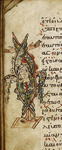 A tan portion of parchment displays a vertical illustration of a fish.