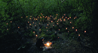 A shot from Super Citizen Ko showing an old man burning paper money in a bamboo grove with many tombstones, all having a lighted candle on top.