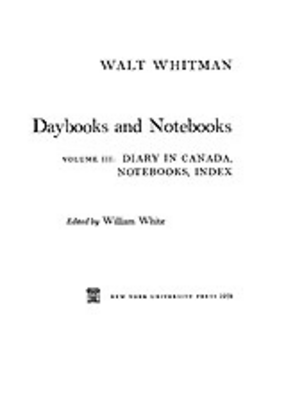 Cover image for Daybooks and notebooks, Vol. 3
