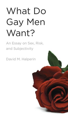 Cover image for What Do Gay Men Want? An Essay on Sex, Risk, and Subjectivity