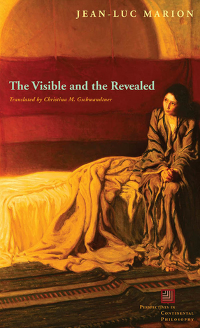 Cover image for The visible and the revealed