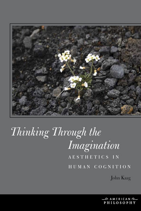 Cover image for Thinking through the imagination: aesthetics in human cognition