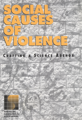 Cover image for Social causes of violence: crafting a science agenda