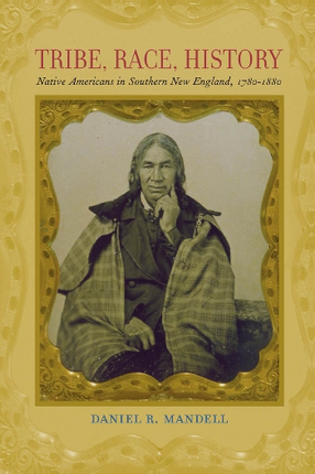 Cover image for Tribe, race, history: Native Americans in southern New England, 1780-1880