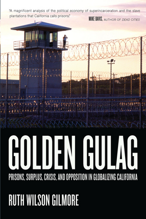 Cover image for Golden gulag: prisons, surplus, crisis, and opposition in globalizing California