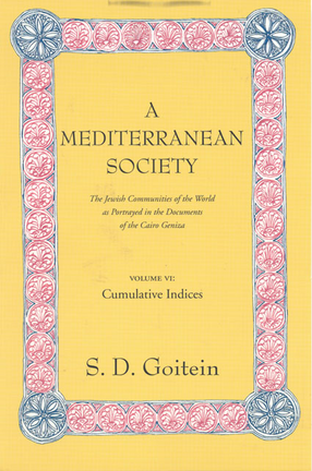 Cover image for A Mediterranean society: the Jewish communities of the Arab world as portrayed in the documents of the Cairo Geniza, Vol. 6