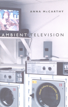 Cover image for Ambient television: visual culture and public space