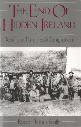 Cover image for The end of hidden Ireland: rebellion, famine, and emigration