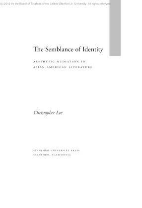 Cover image for The semblance of identity: aesthetic mediation in Asian American literature