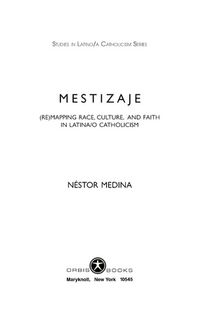 Cover image for Mestizaje: (re)mapping race, culture, and faith in Latina/o Catholicism