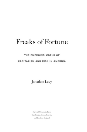 Cover image for Freaks of fortune: the emerging world of capitalism and risk in America