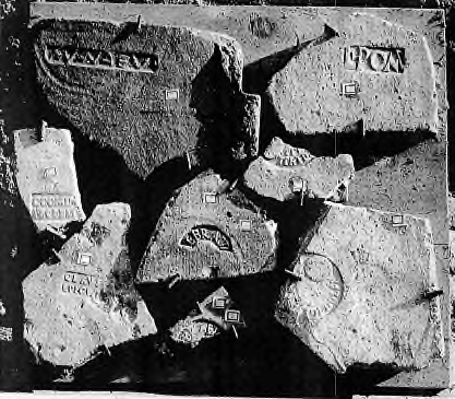Panel of the old display in the Antiquarium of Licenza with some stamped bricks (Pasqui nos. 54-61).