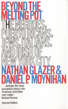 Cover image for Beyond the melting pot: the Negroes, Puerto Ricans, Jews, Italians, and Irish of New York City