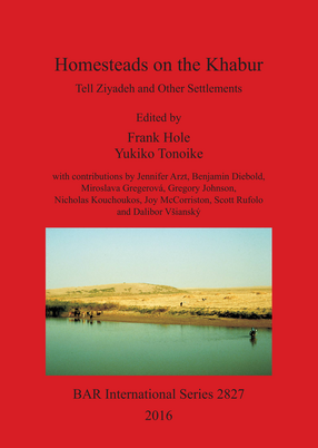Cover image for Homesteads on the Khabur: Tell Ziyadeh and Other Settlements