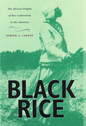 Cover image for Black rice: the African origins of rice cultivation in the Americas