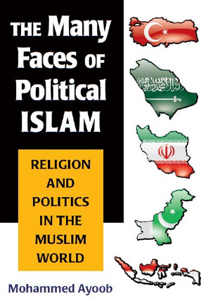 Cover image for The Many Faces of Political Islam: Religion and Politics in the Muslim World
