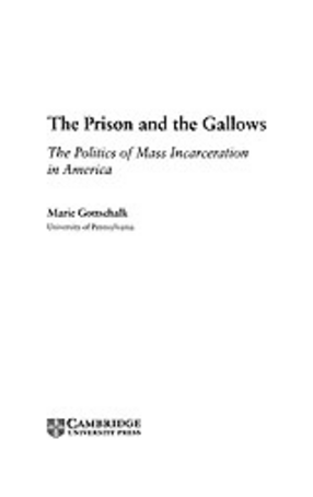 Cover image for The prison and the gallows: the politics of mass incarceration in America