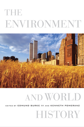 Cover image for The environment and world history