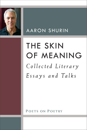 Cover image for The Skin of Meaning: Collected Literary Essays and Talks