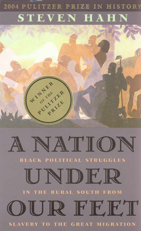 Cover image for A nation under our feet: black political struggles in the rural South from slavery to the great migration
