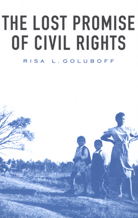 Cover image for The lost promise of civil rights